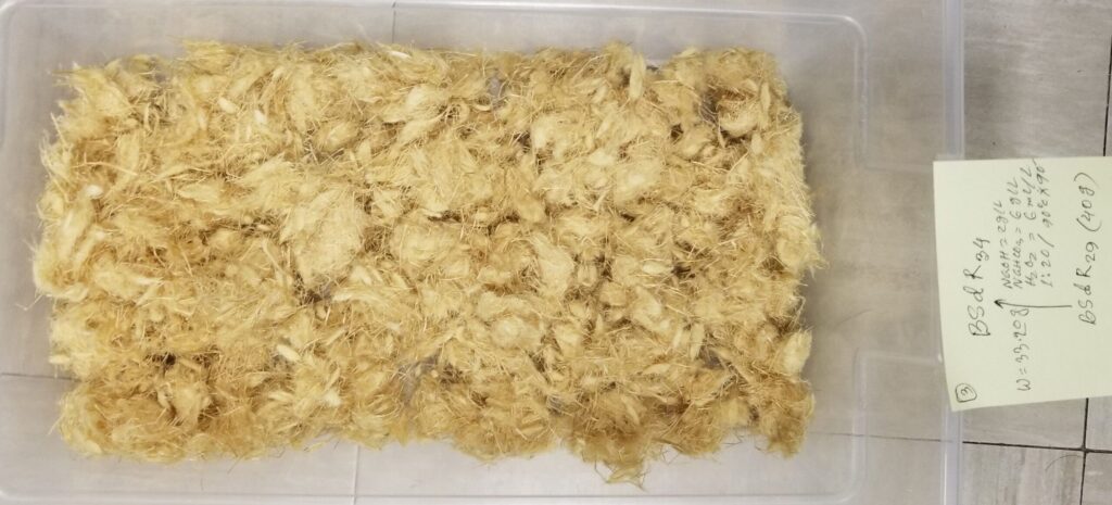 Bamboo Natural Fibers from Bissetii Bamboo Plant